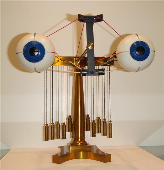 opthalmotrope