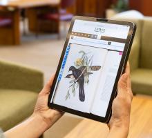 Trove being viewed on an iPad